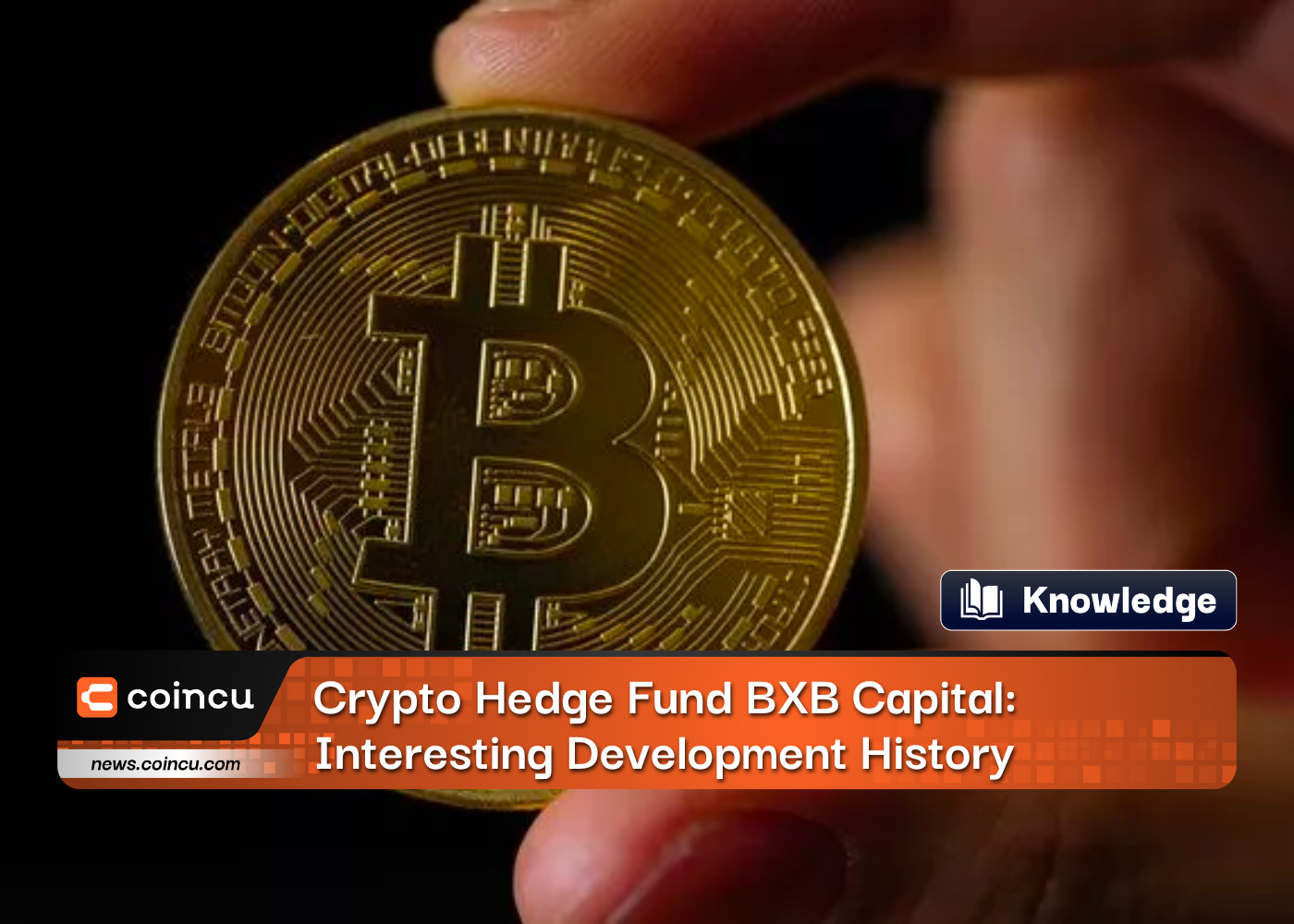 Crypto Hedge Fund BXB Capital: Interesting Development History