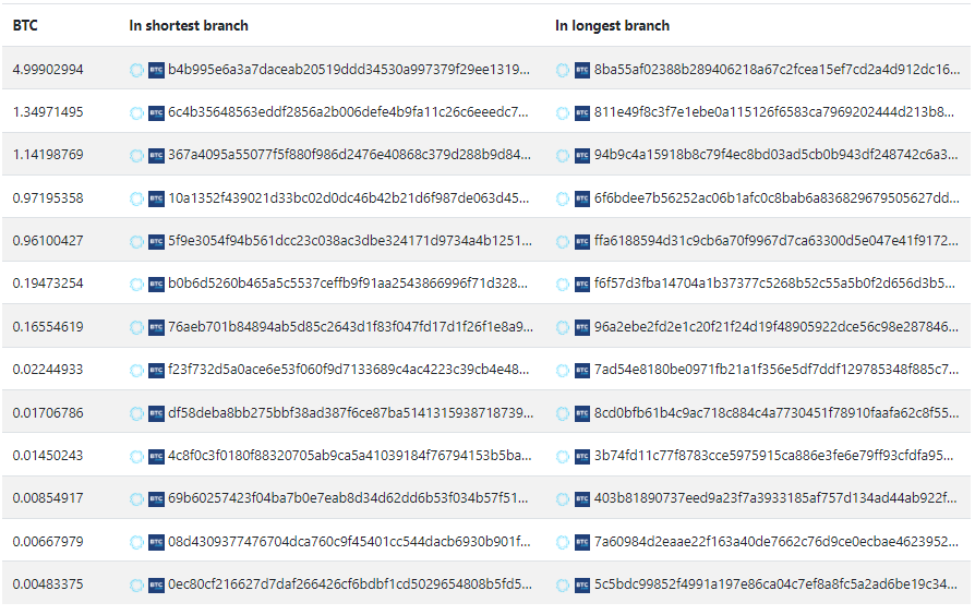 Rare Bitcoin Chain Fork Leads To Double-Spending Of 13 Transactions 2 Rare Bitcoin Chain Fork Leads To Double-Spending Of 13 Transactions