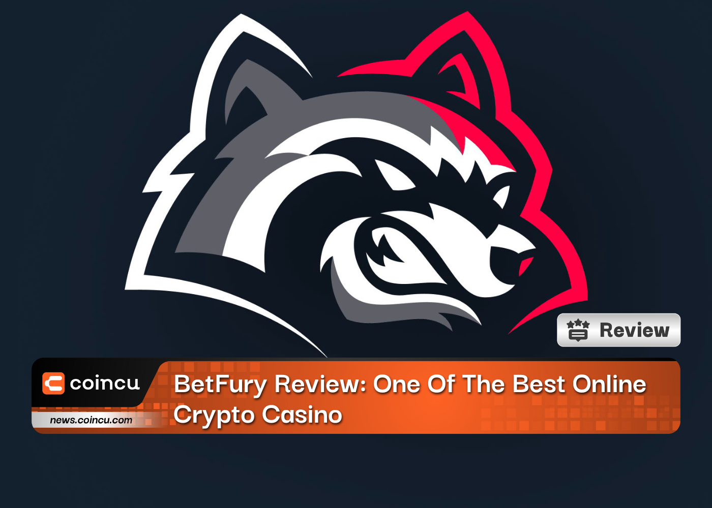 BetFury Review: Eines der besten Online-Krypto-Casinos