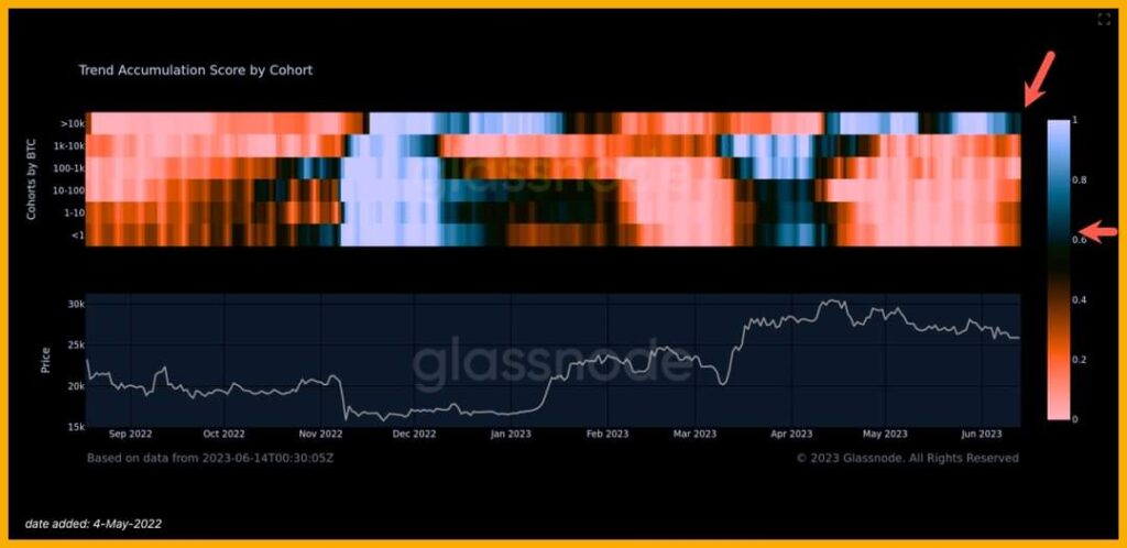 The Bitcoin Chart Shows A Possibility Of The Price Dropping To $22.6K!