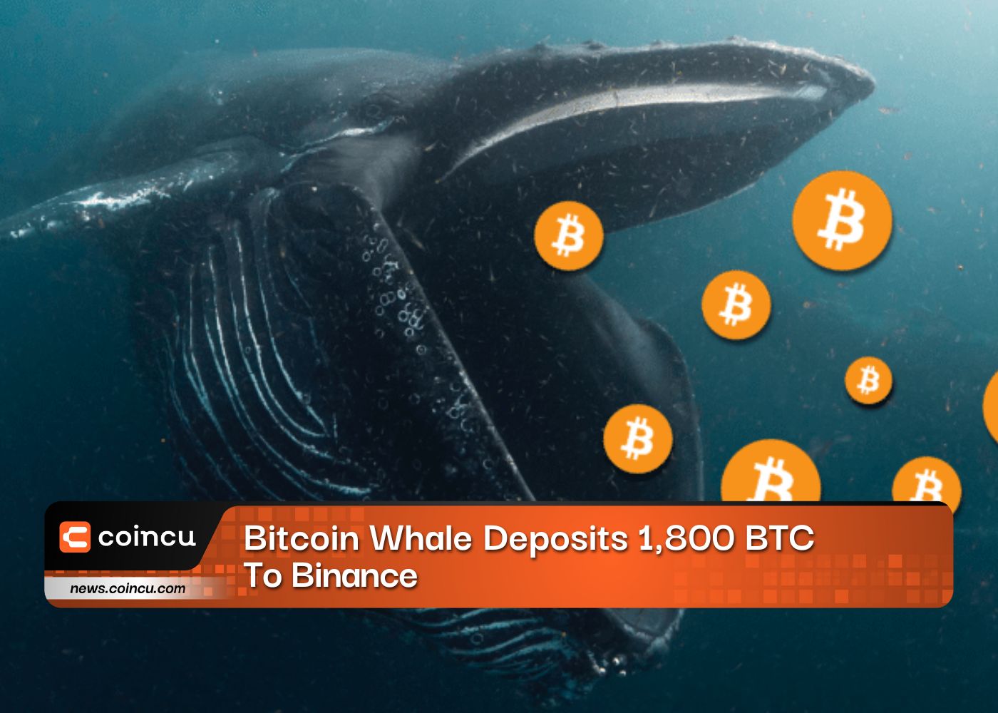 Bitcoin Whale Deposits 1800 BTC