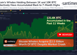 Bitcoin Whales Acquire 3.5 Billion