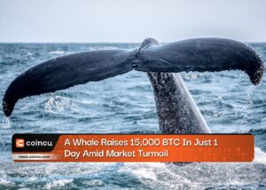 Caution: A Whale Raises 15,000 BTC In Just 1 Day Amid Market Turmoil
