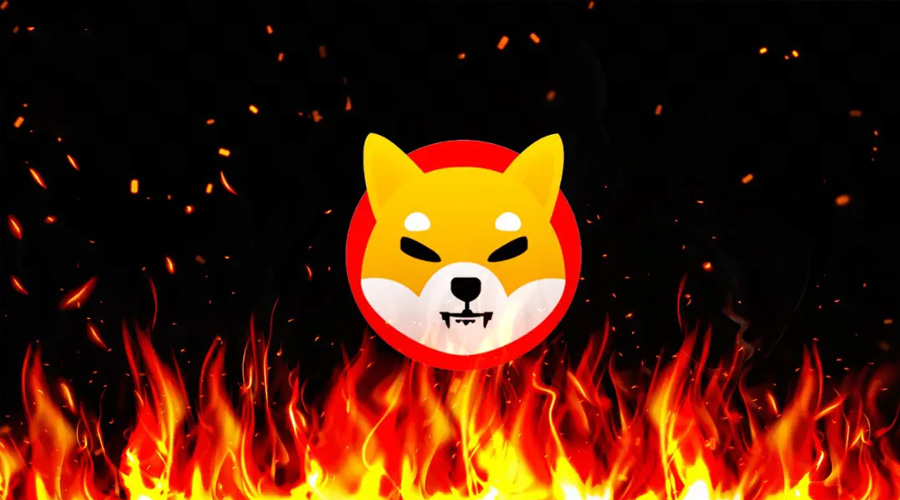Breaking News: SHIB Plummets Despite Recovery: Are Your Investments Safe? 3 Breaking News: SHIB Plummets Despite Recovery: Are Your Investments Safe?