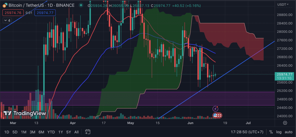 Bitcoin price chart daily candle