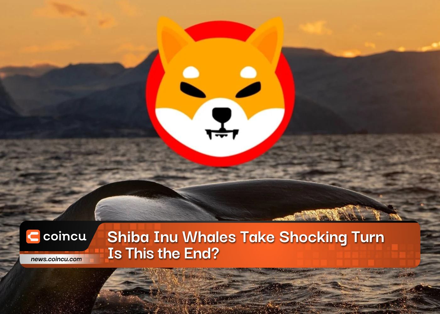 Shiba Inu Whales Take Shocking Turn