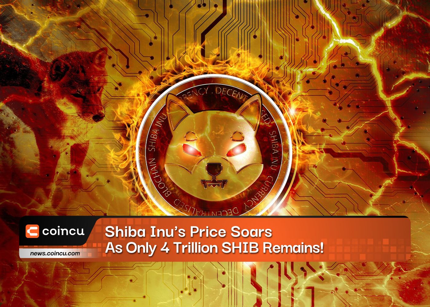 Shiba Inus Price Soars