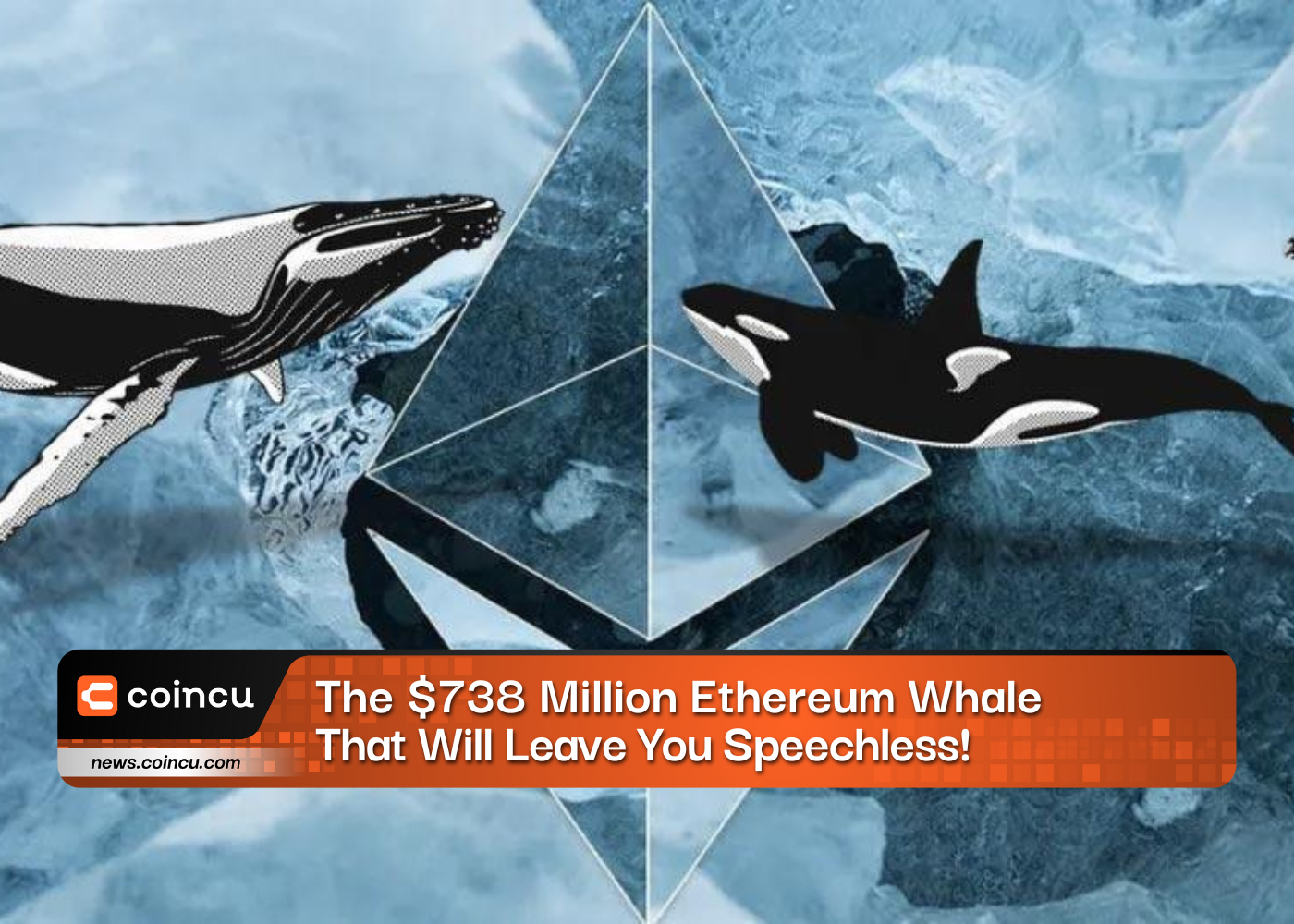 The 738 Million Ethereum Whale