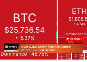 Over $300 Million Was Liquidated After SEC Sued Binance