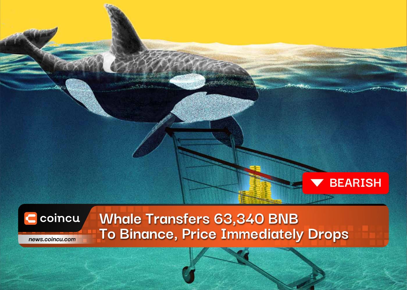 Whale Transfers 63,340 BNB To Binance, Price Immediately Drops