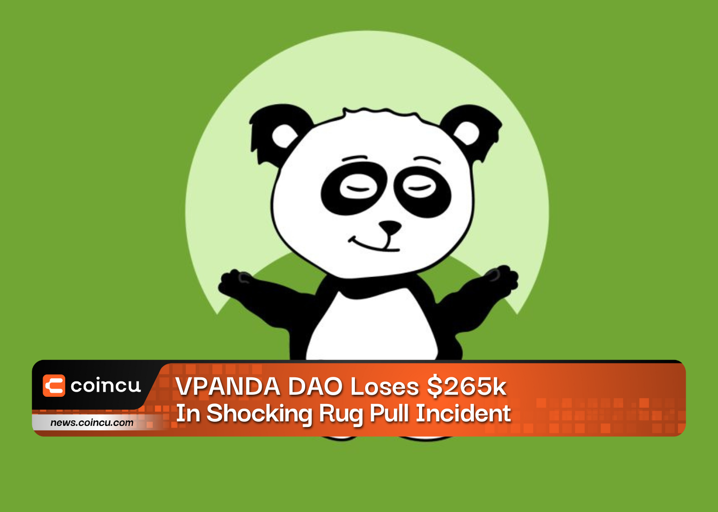 VPANDA DAO Loses 265k