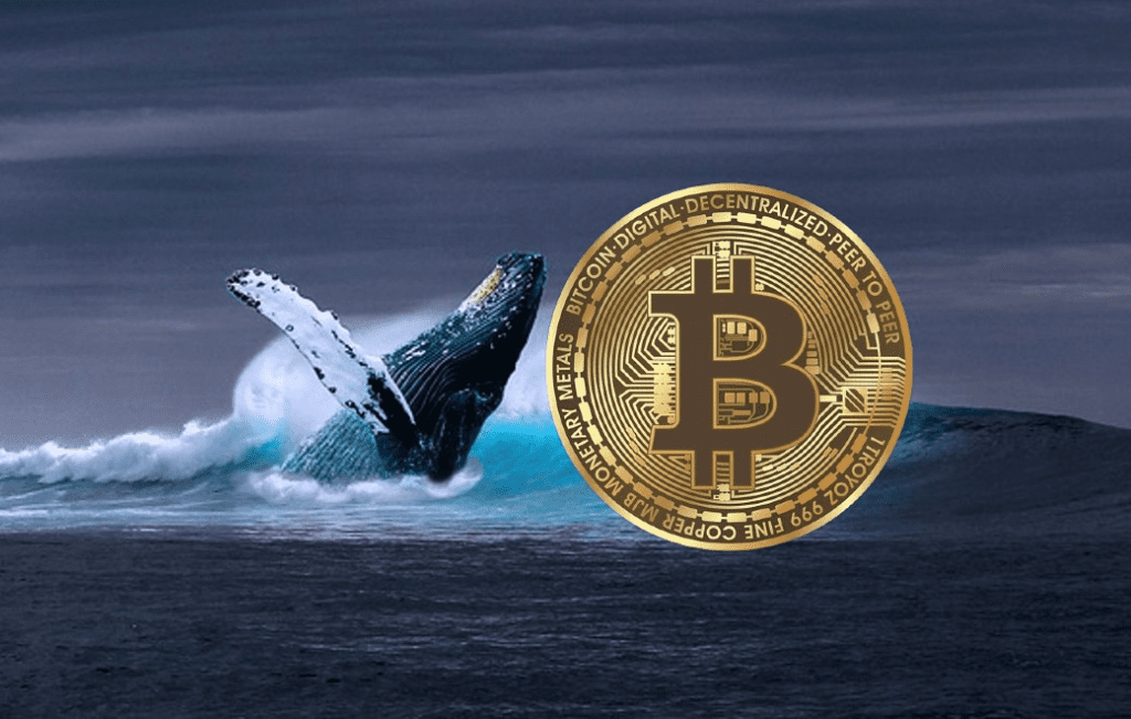 Caution: A Whale Raises 15,000 BTC In Just 1 Day Amid Market Turmoil 1 Caution: A Whale Raises 15,000 BTC In Just 1 Day Amid Market Turmoil