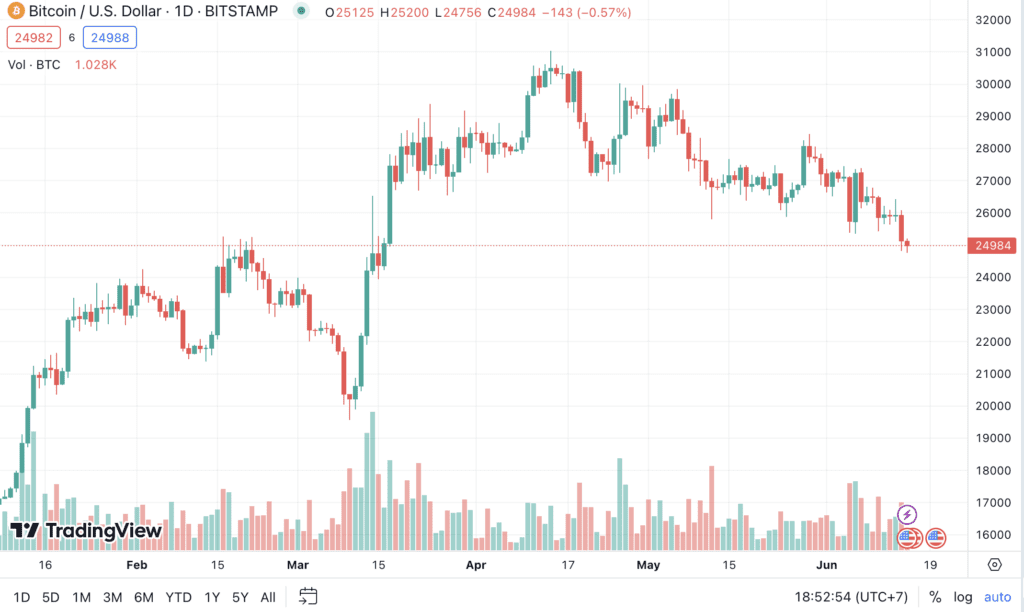 Bitcoin Plummets Below $25k, Top 10 Coins Follow Suit