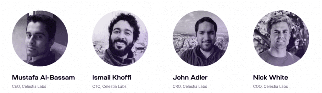 Celestia Review: Pioneering Modular Blockchain Project To Extend Web3 4 Celestia Review: Pioneering Modular Blockchain Project To Extend Web3