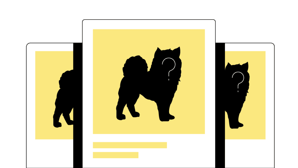 Bored Ape Kennel Club Review: Unique Collection Based On BAYC