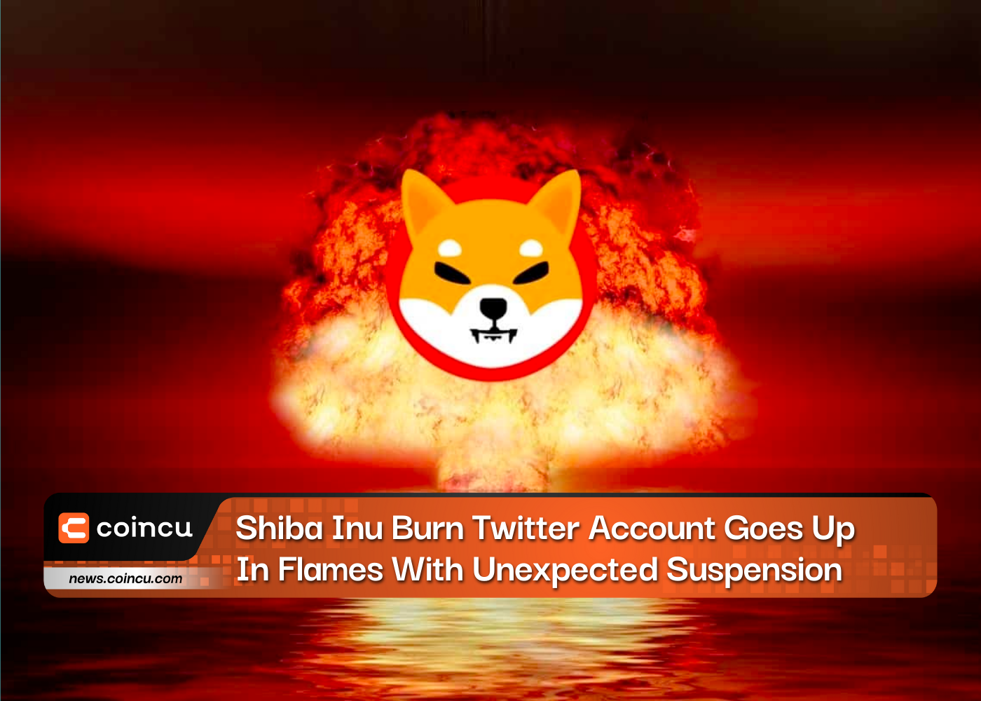Shiba Inu Burn Twitter Account Goes Up In Flames With Unexpected Suspension