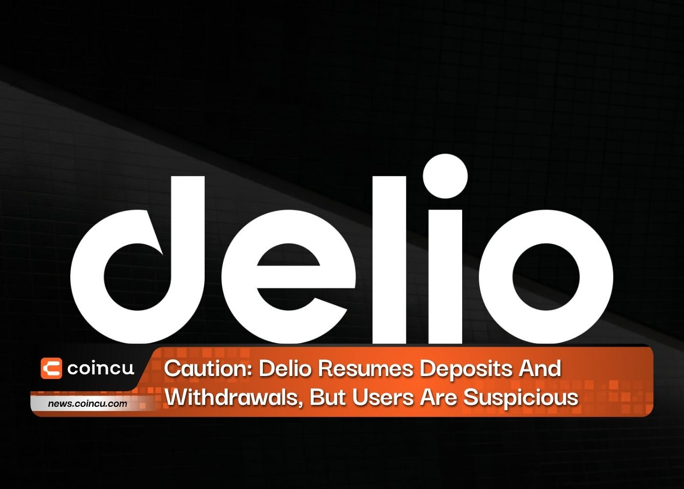 Caution: Delio Resumes Deposits And Withdrawals, But Users Are Suspicious