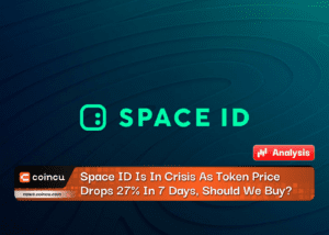 Space ID Is In Crisis As Token Price Drops 27% In 7 Days, Should We Buy?