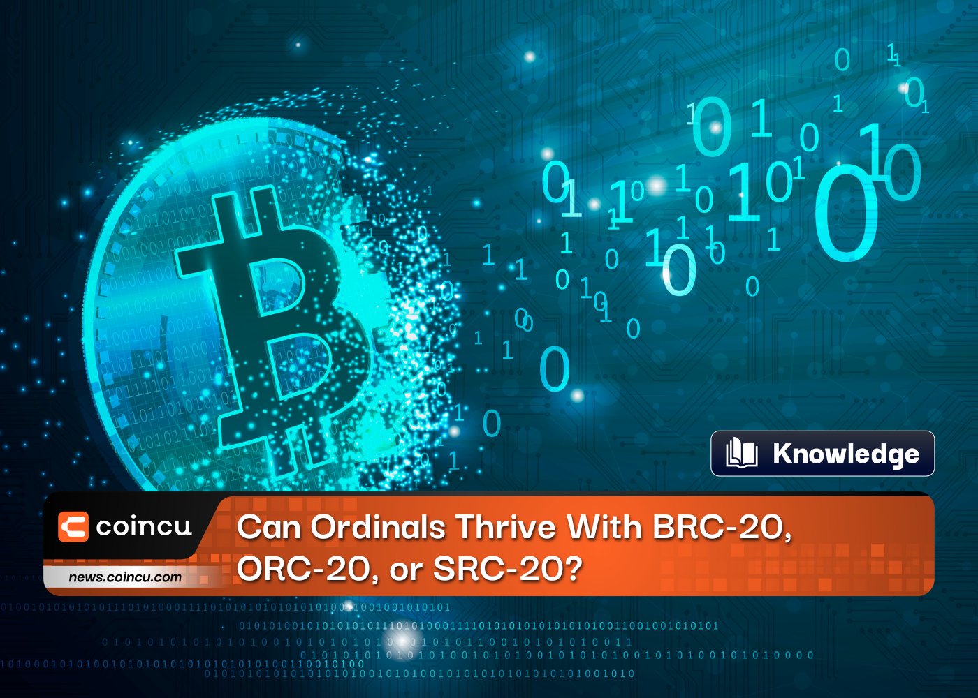Can Ordinals Thrive With BRC-20, ORC-20, or SRC-20?