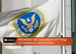 BREAKING: SEC Says Bitcoin ETF Filings Are Inadequate, Market Panic