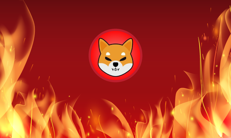 Breaking News: SHIB Plummets Despite Recovery: Are Your Investments Safe? 2 Breaking News: SHIB Plummets Despite Recovery: Are Your Investments Safe?