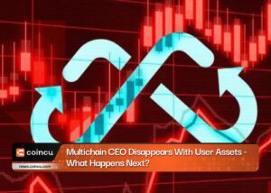 Multichain CEO Disappears With User Assets - What Happens Next?