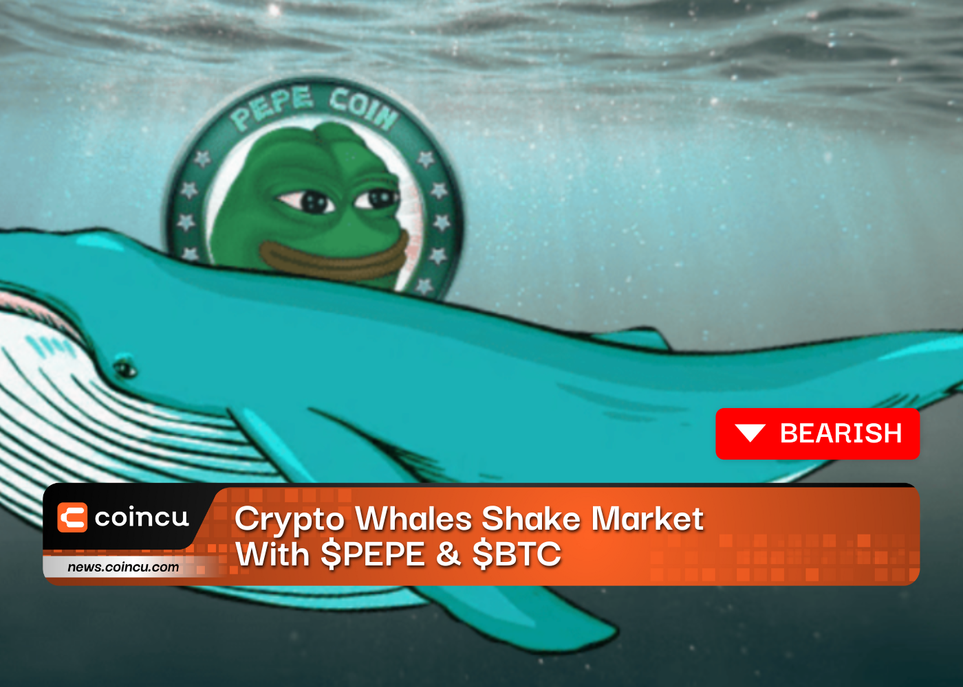 Crypto Whales Shake Market