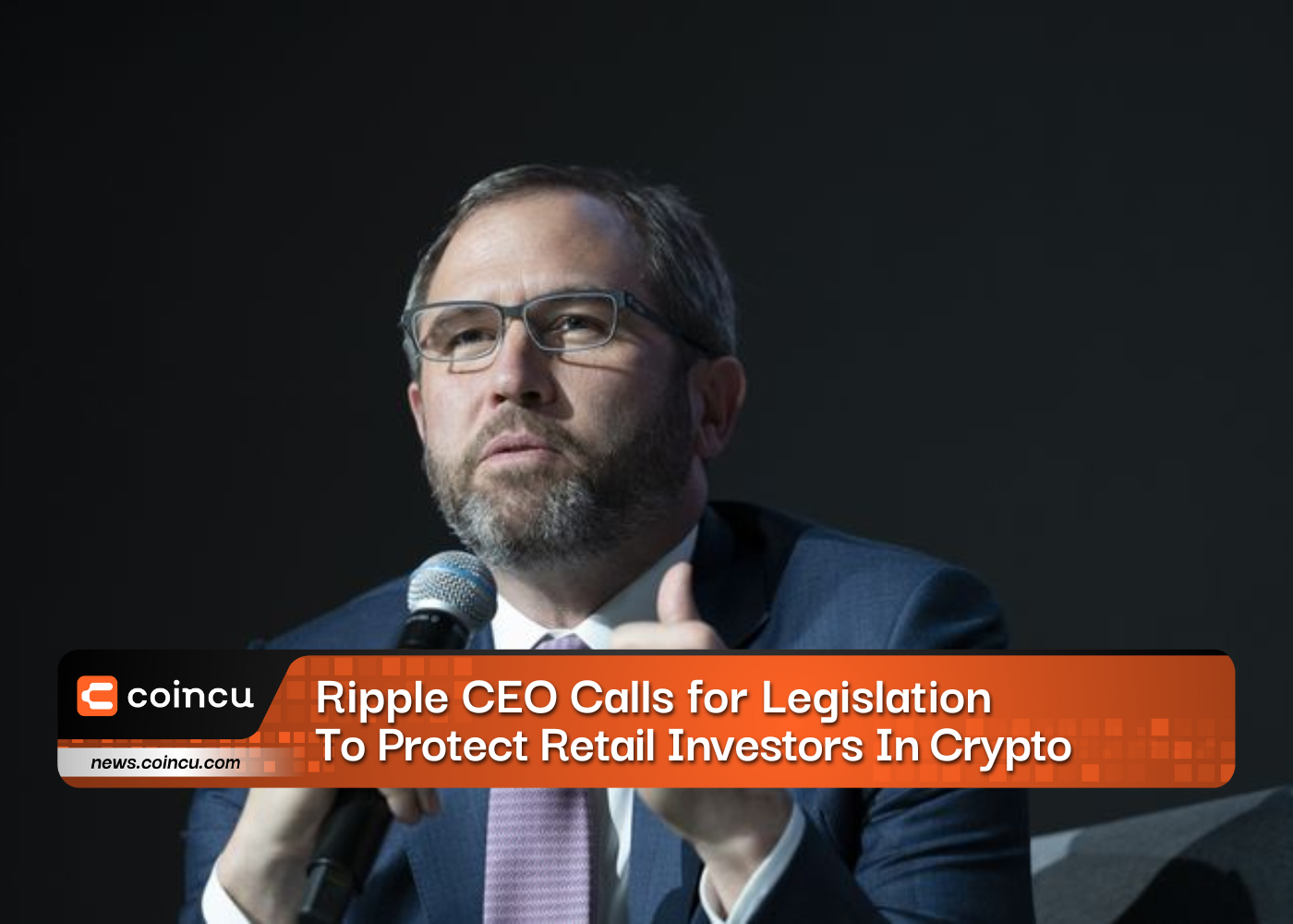 Ripple CEO Calls for Legislation