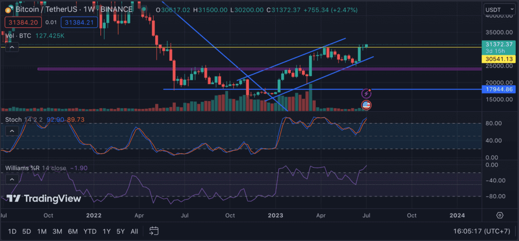 Tradingview the BTC price chart