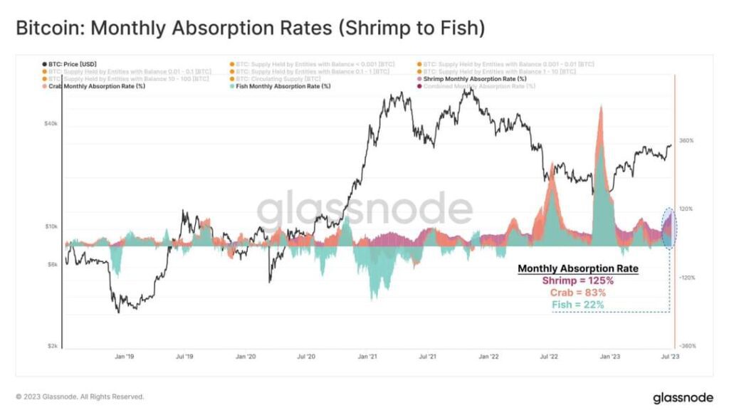 The BTC price chart