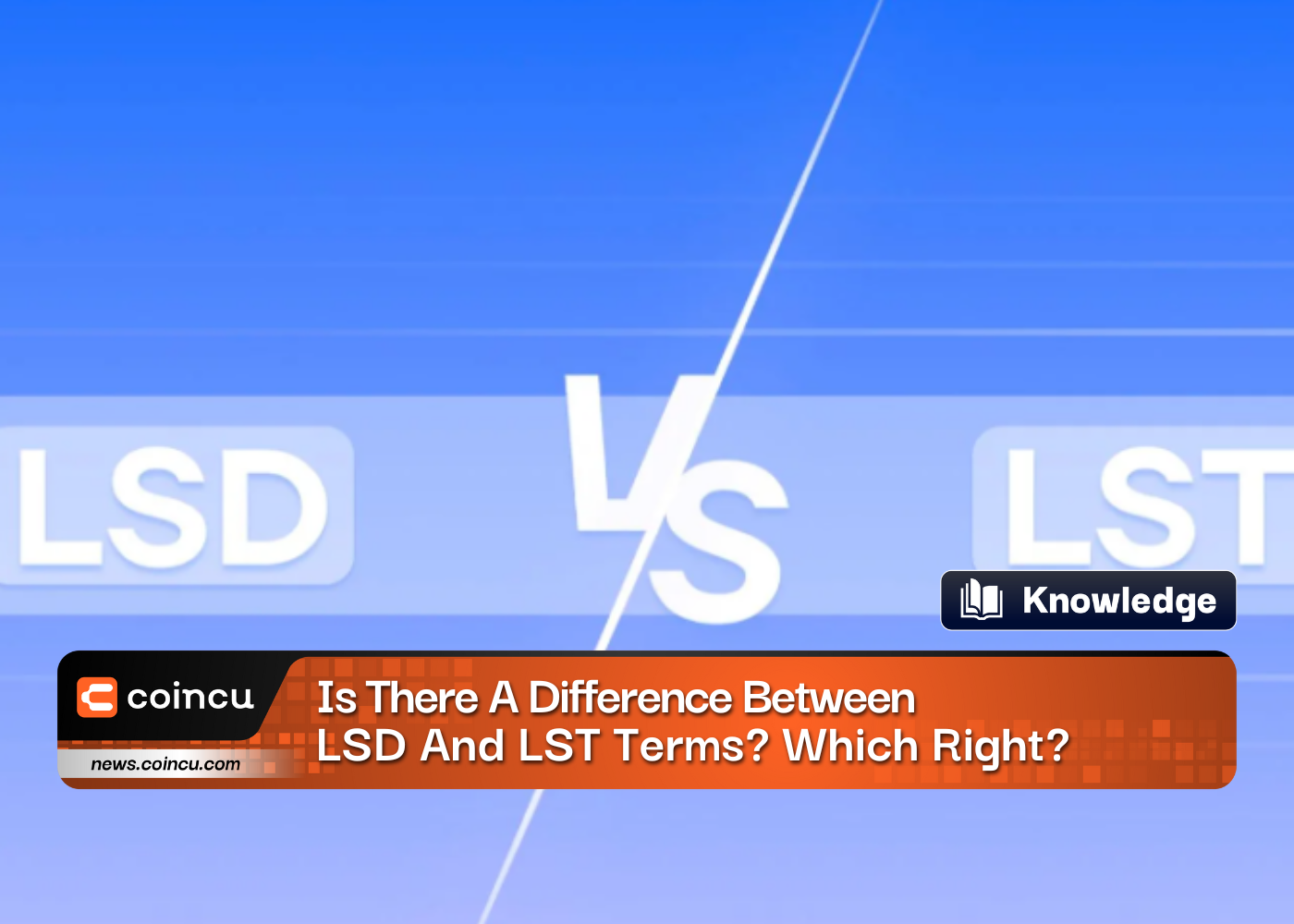 Is There A Difference Between LSD And LST Terms? Which Right?