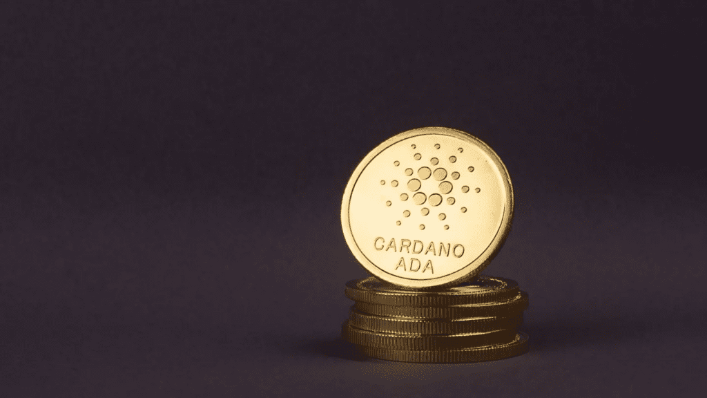 What Will Cardano Do At The $0.3 Resistance?