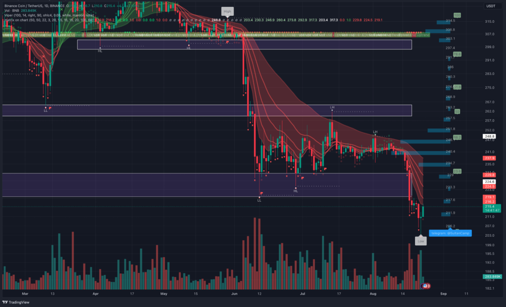 BNB Is On The Cusp Of A Rally With Gains Toward $230