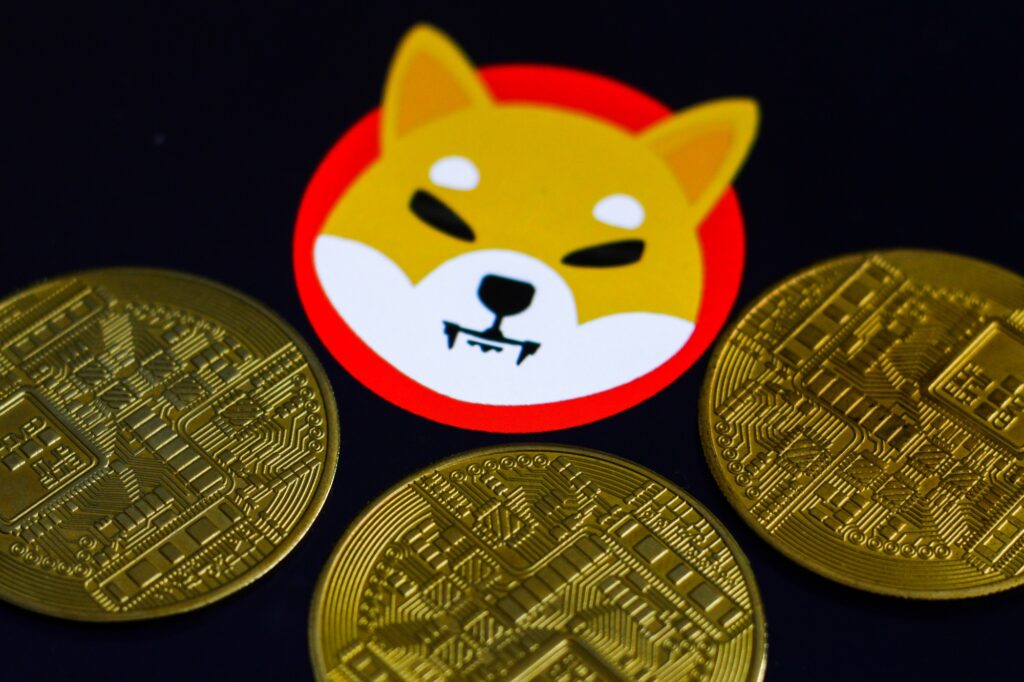 Shiba Inu Down More Than 35% Since August Peak Despite Actively Improving Ecosystem