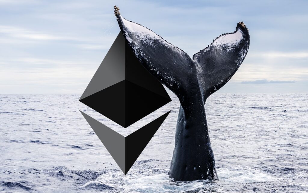 Whale Address Continues Massive ETH Withdrawals With 9,689 ETH Worth Nearly $16 Million From Binance