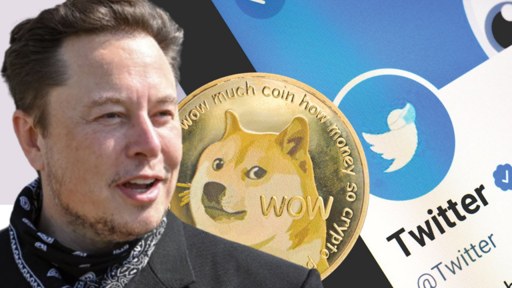 Elon Musk's Hidden Support Bolstered Dogecoin Evolution