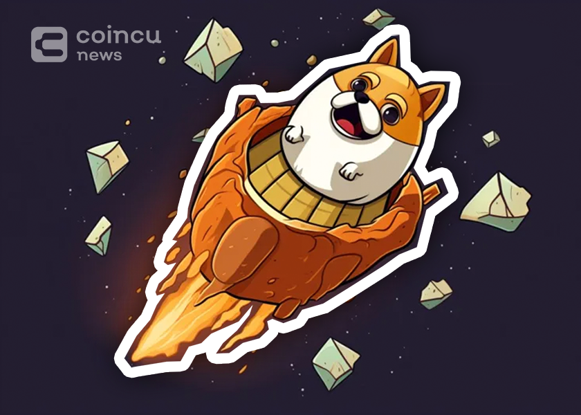 Dogecoin Price Drops By 5% After SpaceX Loses Starship Spacecraft