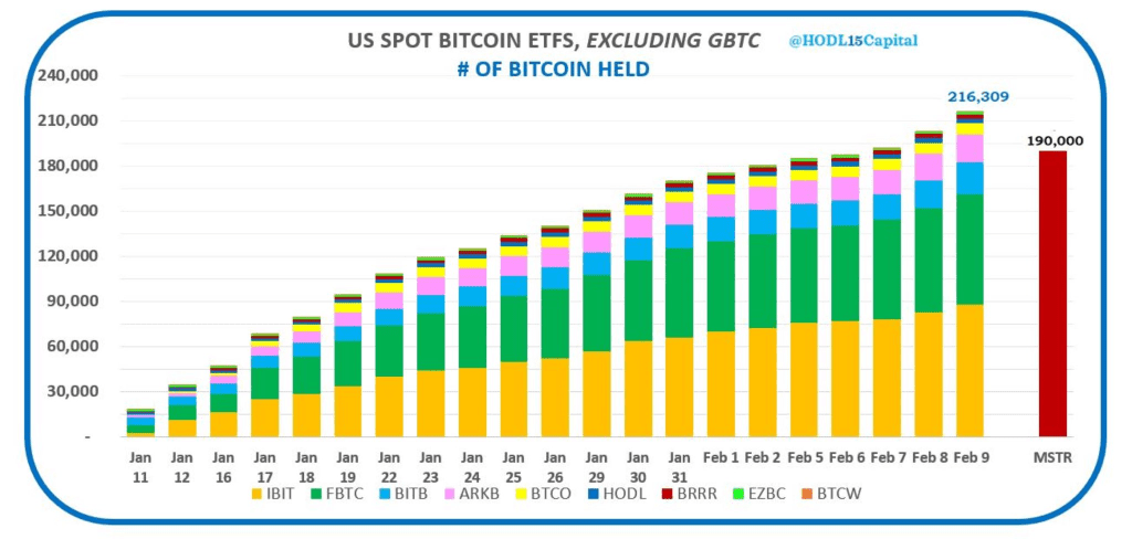 9 Spot Bitcoin ETFs Buy 216,309 BTC, Overtaking MicroStrategy Bitcoin Holdings