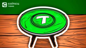 TON Blockchain'de USDT, 10 Milyon Dolarlık Tokenlarla Piyasaya Sürülmeye Hazırlanıyor