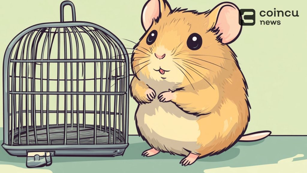 Hamster Kombat Players Exceed 300 Million, 60% of Airdrops Will Be Dedicated