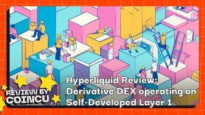 Hyperliquid Review: Derivative DEX operating on Self-Developed Layer 1