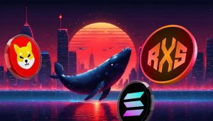 What Are Crypto Whales Up To? Why Big Players in the Market Are Focusing on Just 3 Altcoins Heading into October