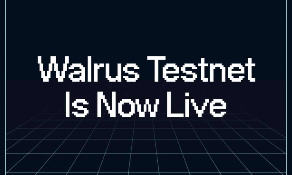 Walrus Testnet 1729144851krjDdejpZE 1