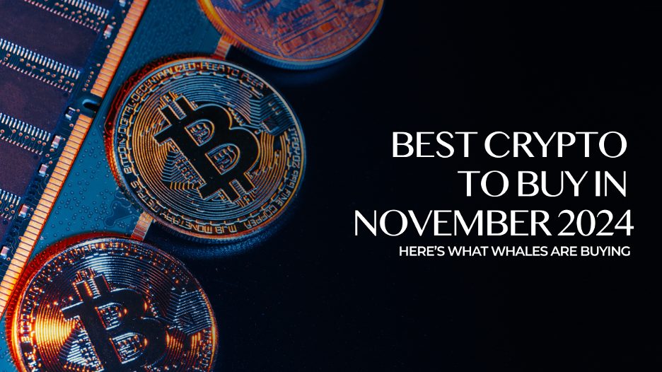 Best cryptocurrencies to buy November 2024,Top crypto picks for November 2024,Expert analysis on crypto investments,Top 3 cryptos to invest in now,Best crypto investments November 2024