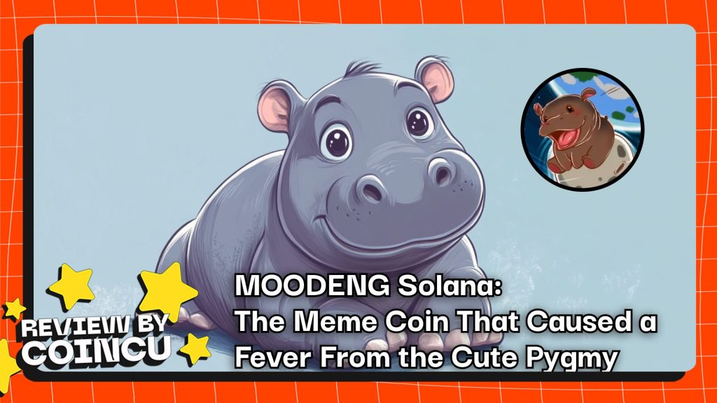 MOODENG Solana: The Meme Coin That Caused a Fever From the Cute Pygmy Hippo