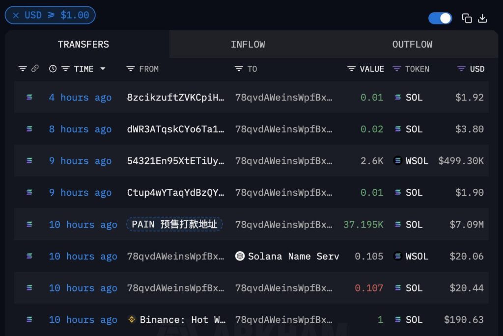 PAIN Meme Coin Moves $7M in SOL