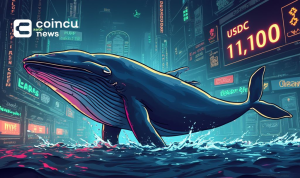 cartoon crypto whale transfer