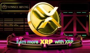 How to Make $98K a Day Using XRP on WinnerMining