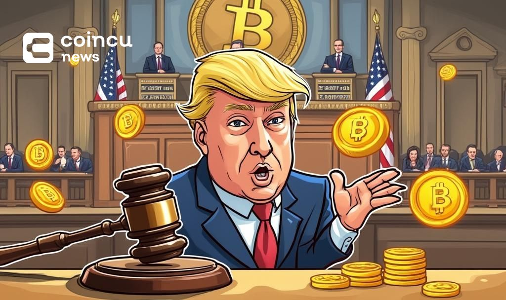 trump tariffs court cartoon