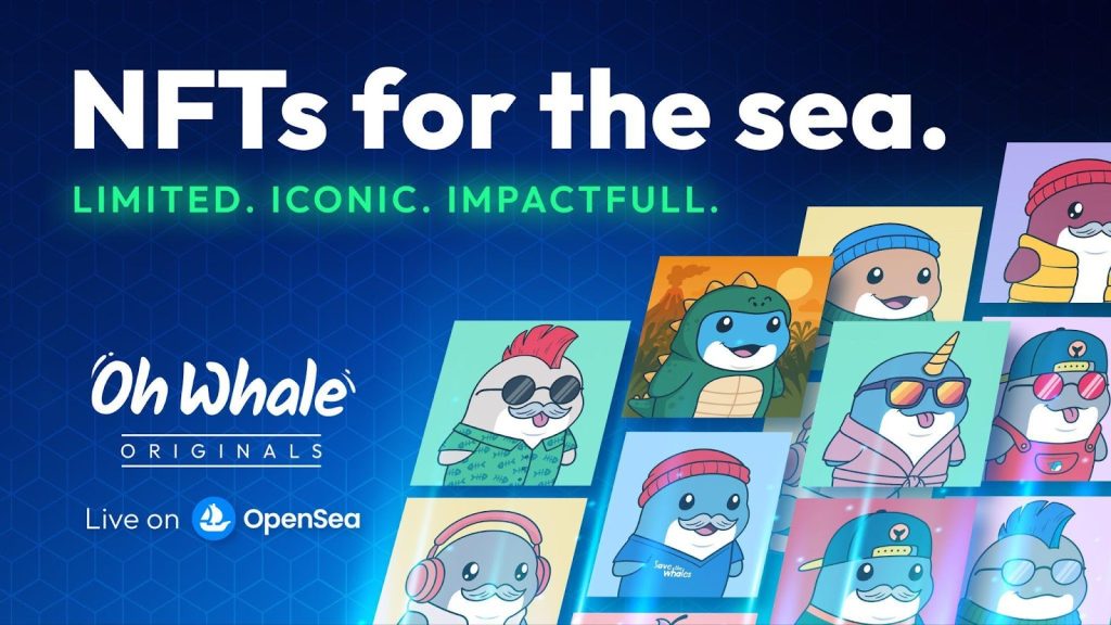 Oh Whale Launches NFT Collection to Fund Ocean Protection and It’s Just the Beginning 1 Oh Whale Launches NFT Collection to Fund Ocean Protection and Its Just the Beginning 2